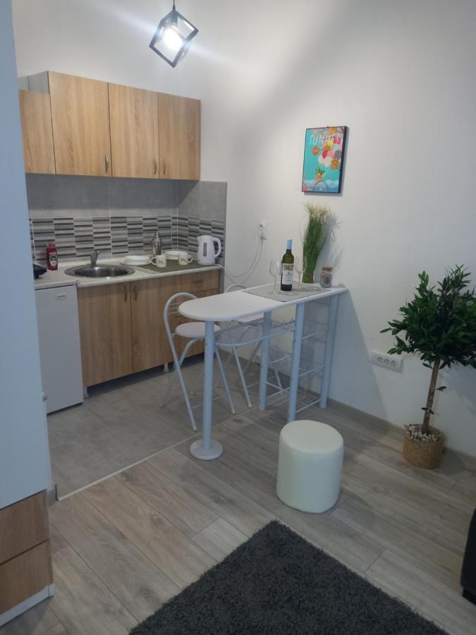 Apartment Capital Town Nowy Sad Zewnętrze zdjęcie