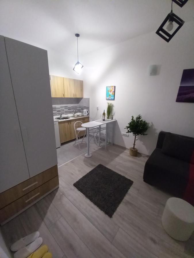 Apartment Capital Town Nowy Sad Zewnętrze zdjęcie